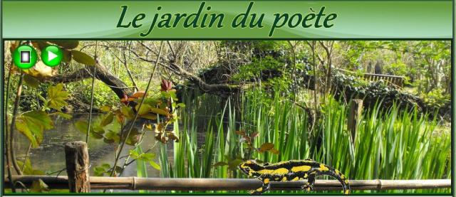 Blog jardin du poète