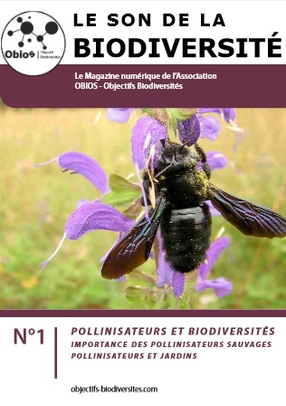 Le Son de la Biodiversité n°1 : Les pollinisateurs