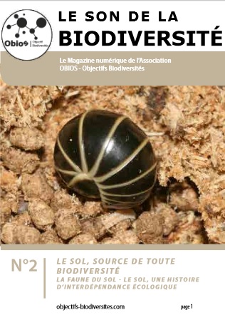 Le Son de la Biodiversité n°2 : Le Sol