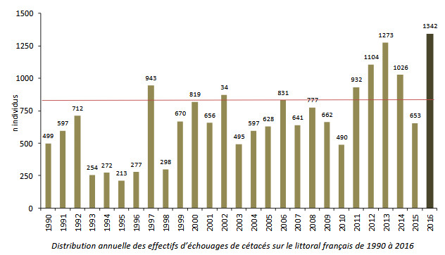 Distribution échouages cétacés 1990-2016 (réseau national échouage)