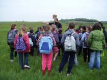 Sortie milieux du marais ecole de Saint-Sornin (OBIOS)