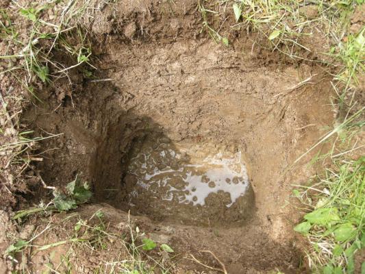 Fossé pédologique au jardin du Compin