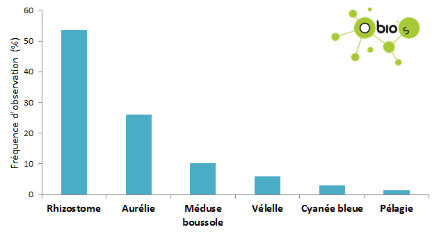 Frequences meduses estuaire janvier 2018