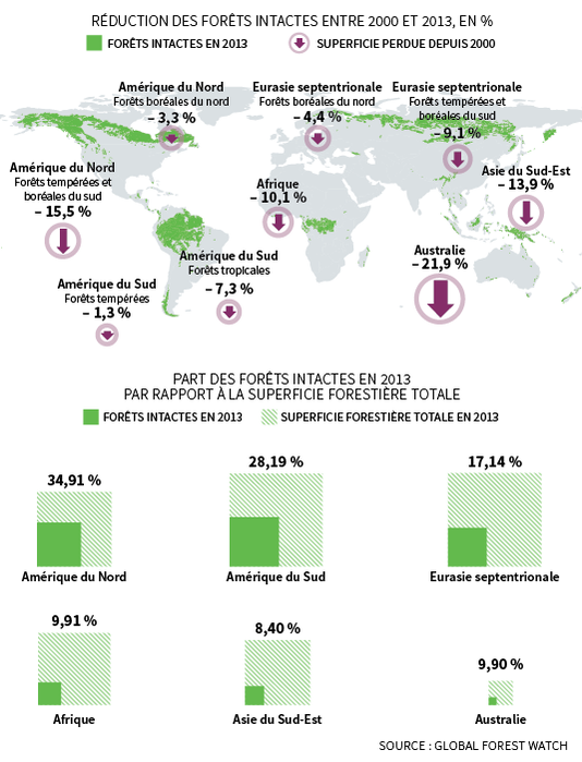 Golbal forest watch c le monde