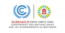 Logo cop22 vf