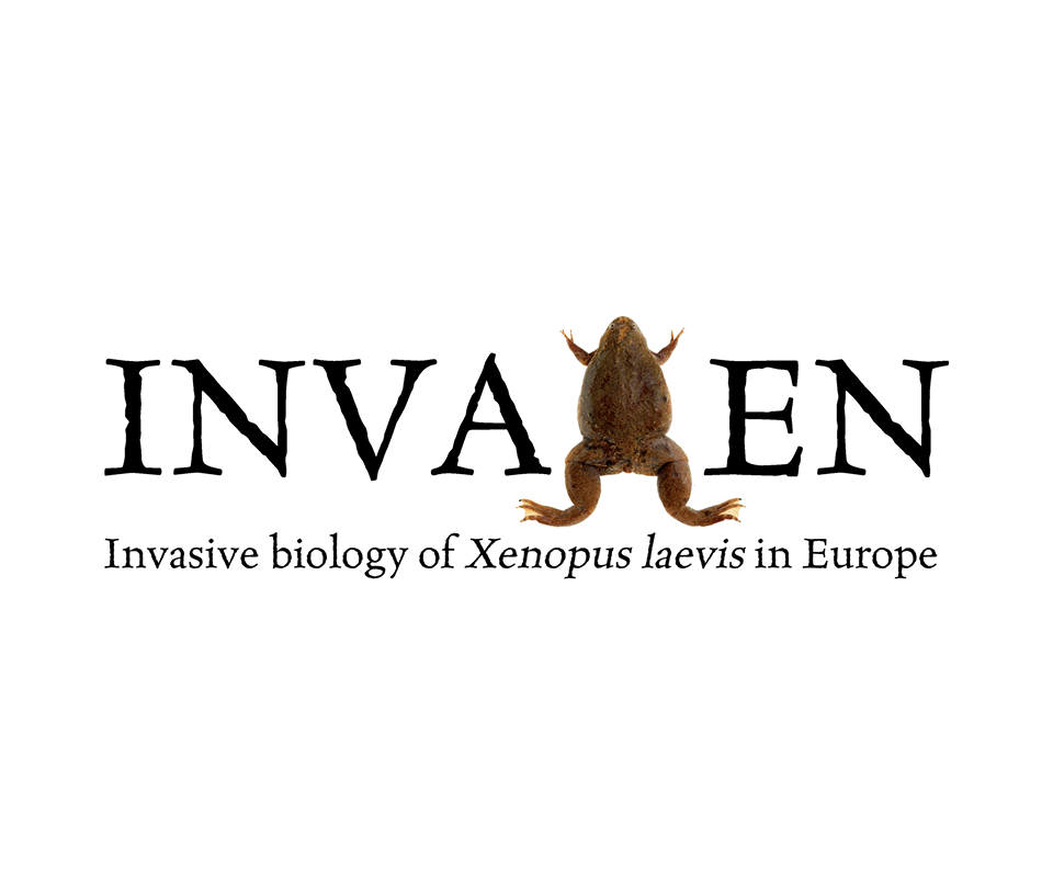 Logo invaxen