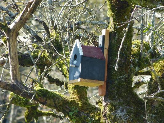 Un nichoir pour le printemps (c) OBIOS.