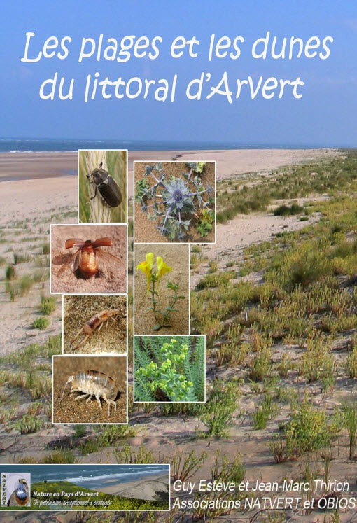 Esteve et Thirion (2015) Les plages et les dunes du littoral d'arvert