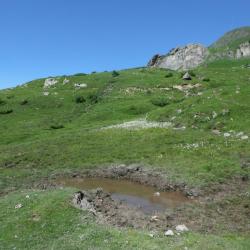 Parc National des Pyrénées