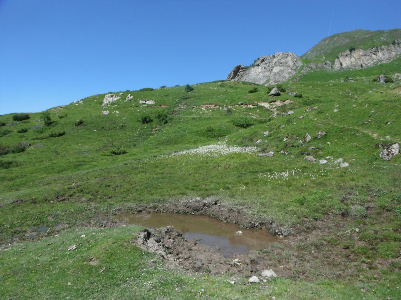 Parc National des Pyrénées
